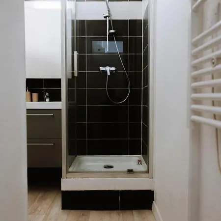 Appt Refait A Neuf Quartier St Sernin, La Daurade Apartment